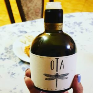 ota1(1)
