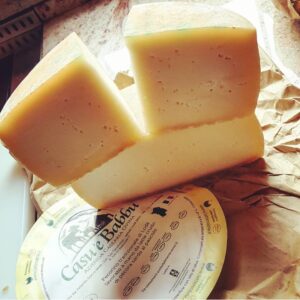 pecorino